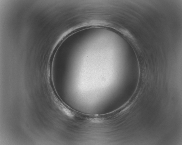 X0000078871280200611131207
