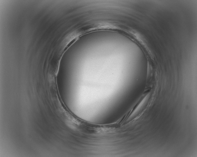 X0000078871281200611131207