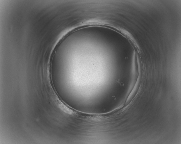 X0000078871288200611131207