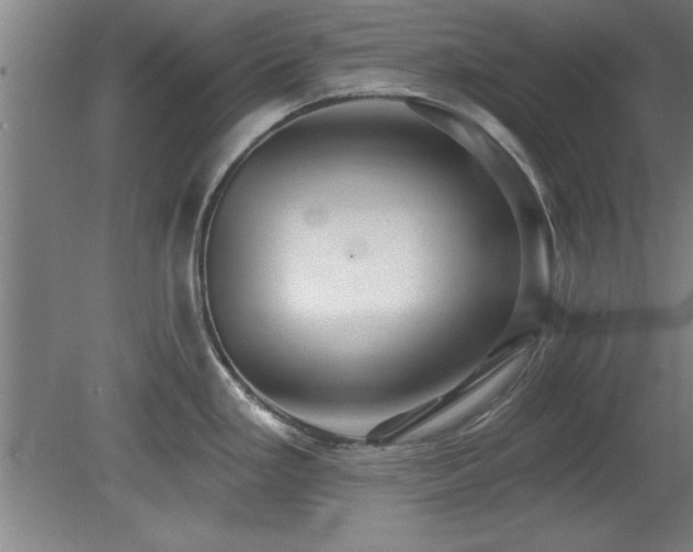X0000078871293200611131207