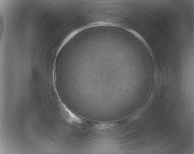 X0000078871294200611131207