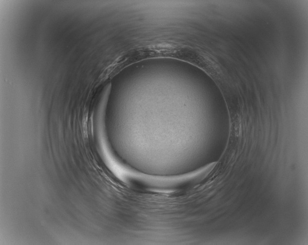 X0000078871298200611131206
