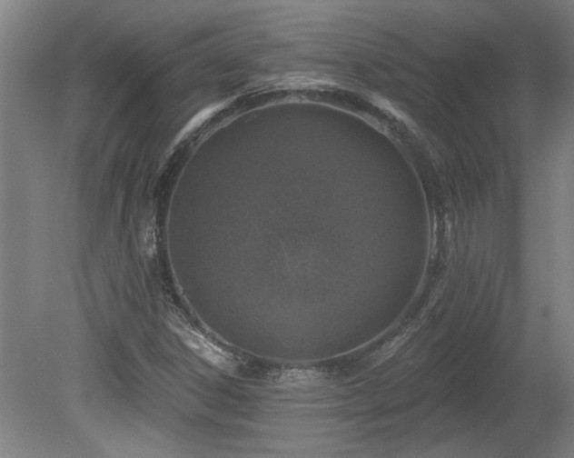 X0000078871306200611131206