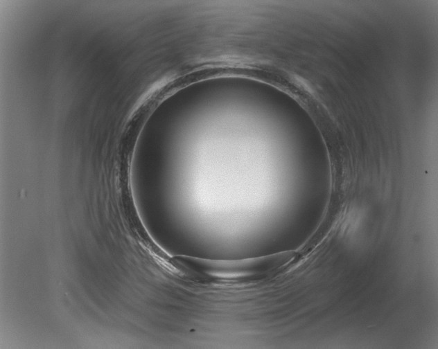 X0000078871307200611131206