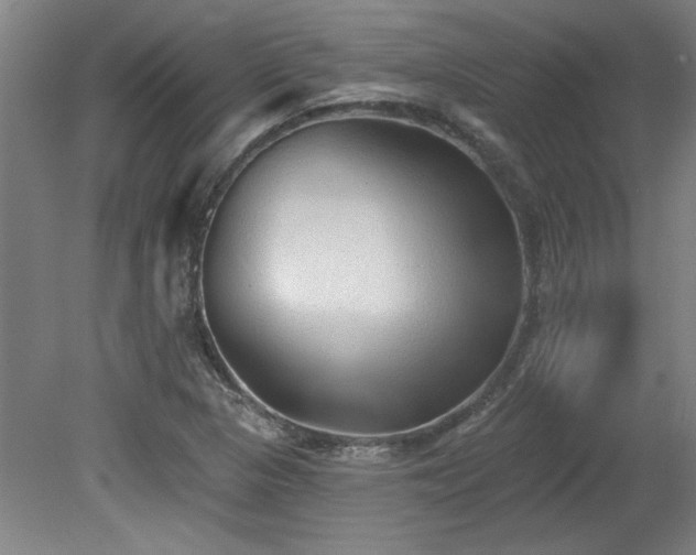X0000078871313200611131206