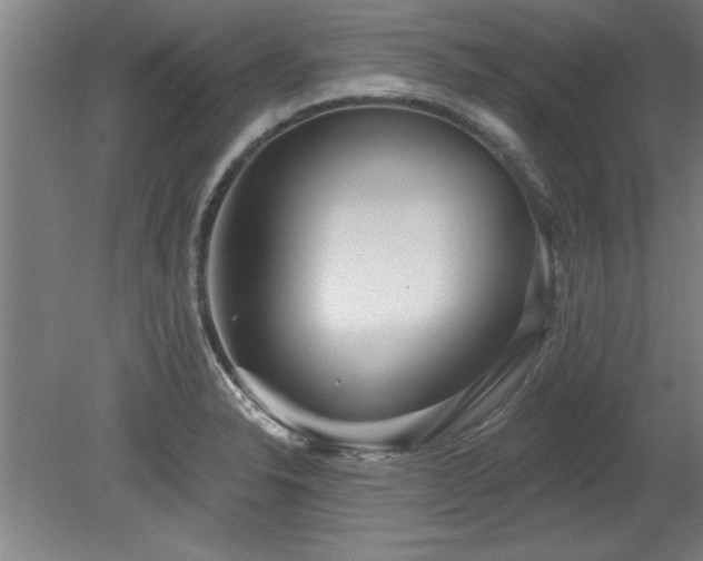 X0000078871326200611131207