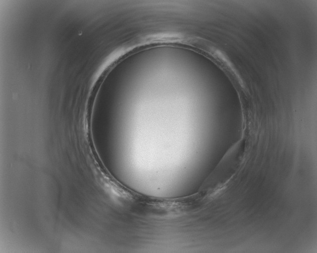 X0000078871328200611131207