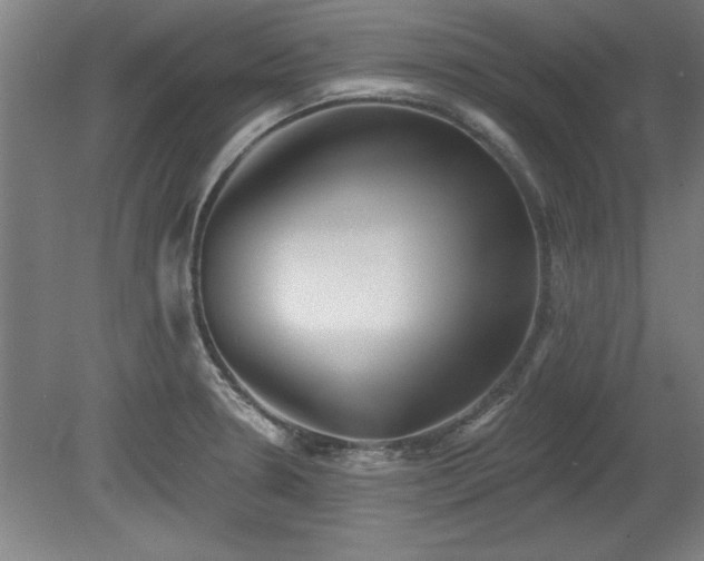 X0000078871330200611131207