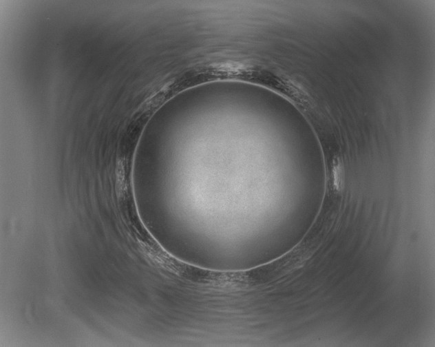 X0000078871347200611131206