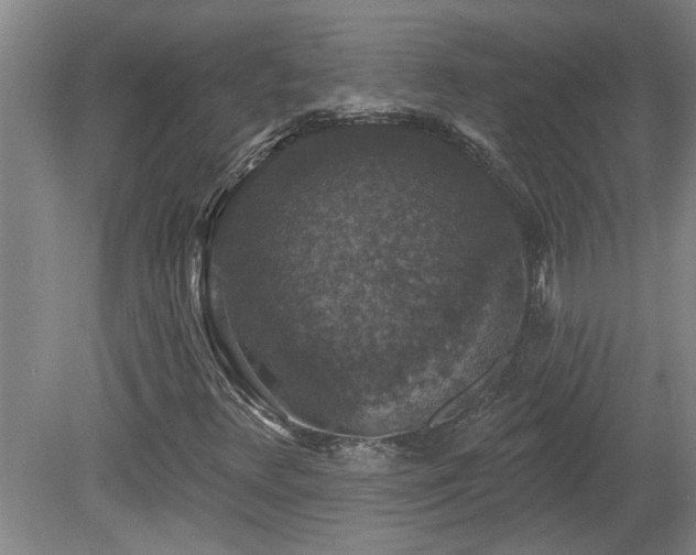 X0000078871348200611131206