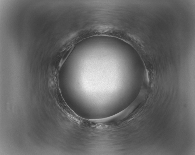 X0000078871349200611131206