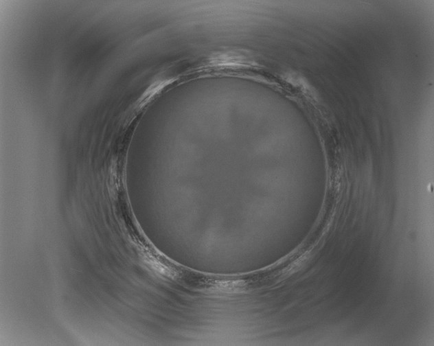 X0000078871353200611131206