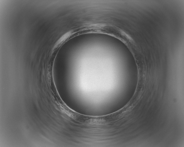 X0000078871354200611131206