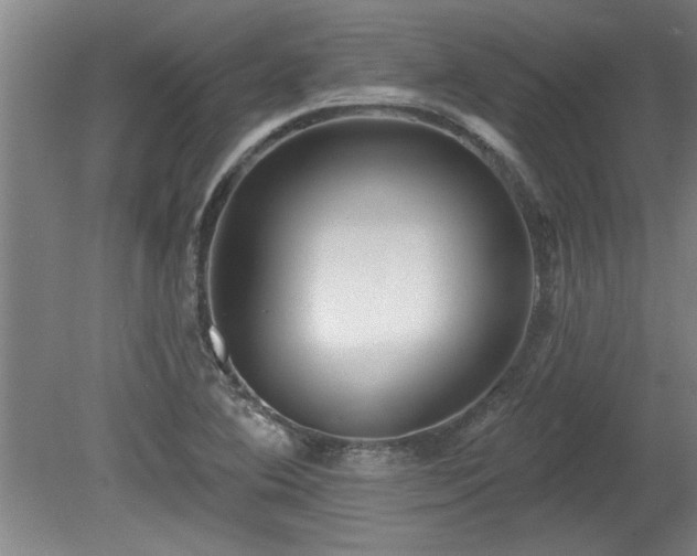 X0000078871364200611131206