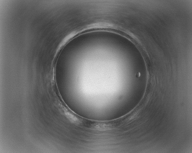X0000078871366200611131206