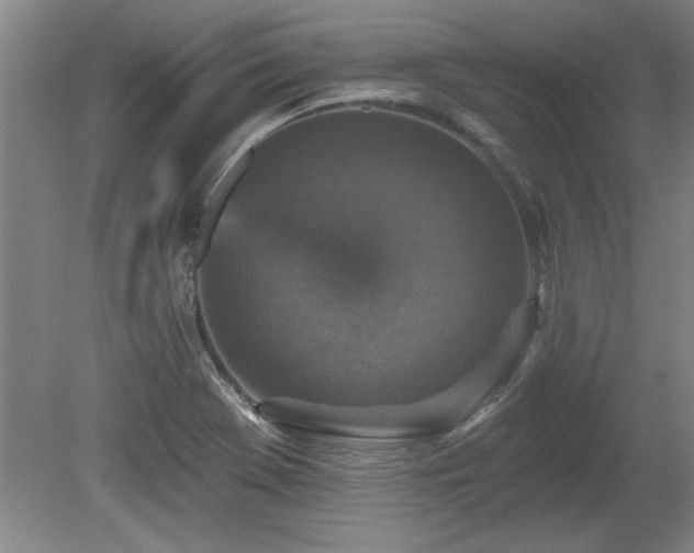 X0000078871369200611131206