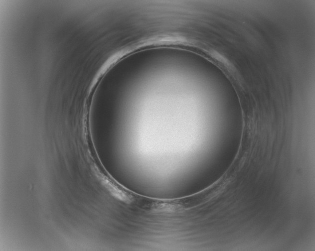 X0000078871374200611131206