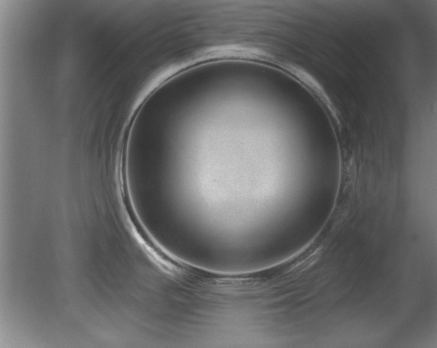 X0000078871391200611131205