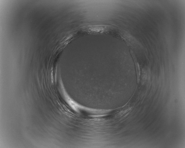 X0000078871394200611131205