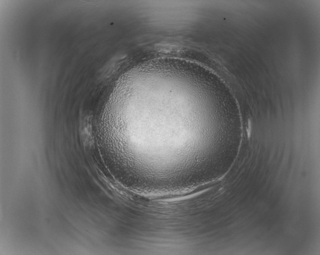 X0000078871396200611131205