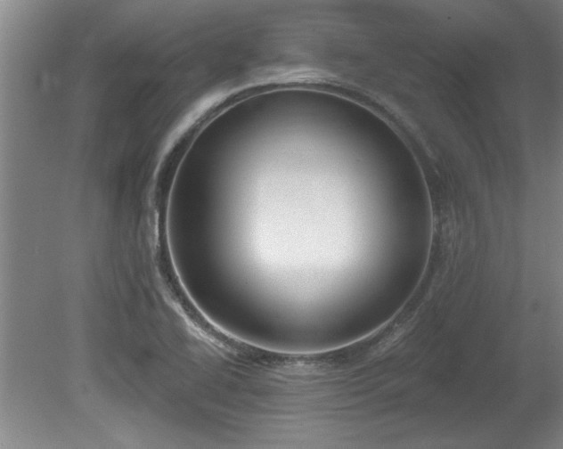 X0000078871414200611131205