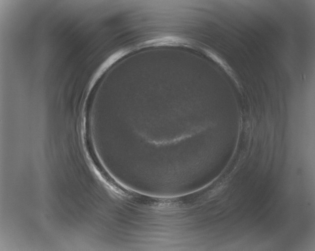 X0000078871418200611131205