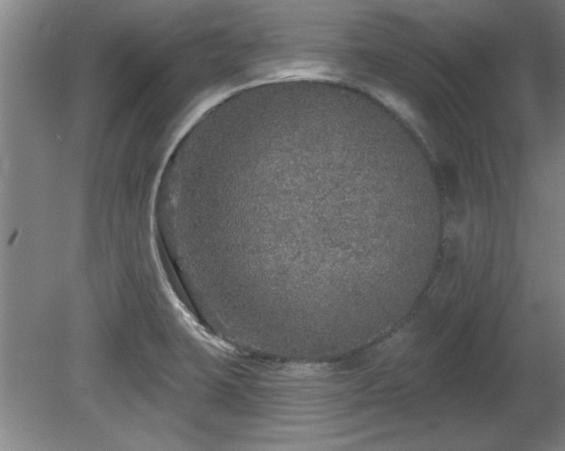 X0000078871423200611131205