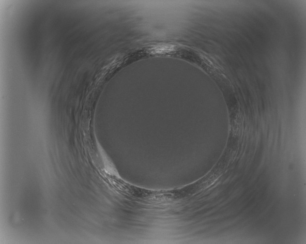 X0000078871441200611131205