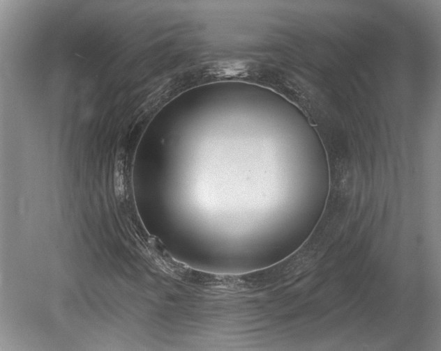X0000078871442200611131205