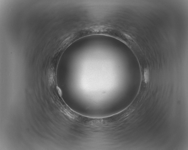 X0000078871444200611131205