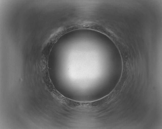 X0000078871447200611131204