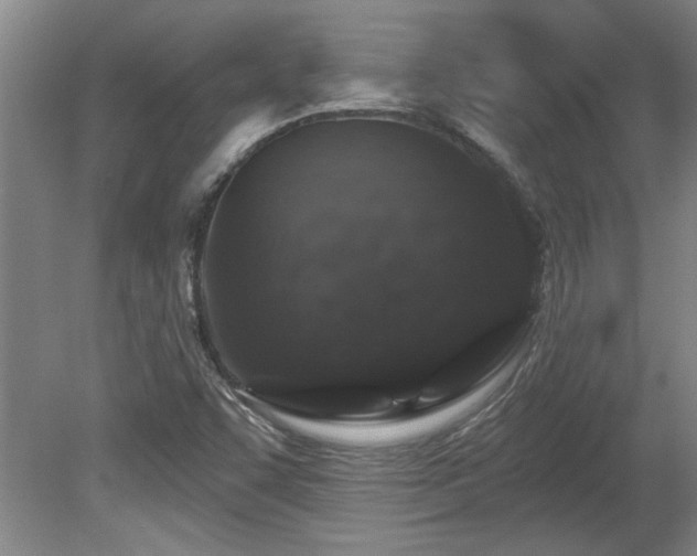X0000078871455200611131204