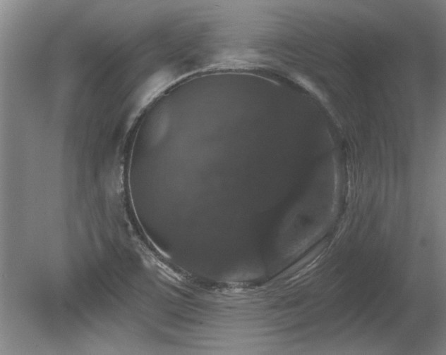 X0000078871459200611131204