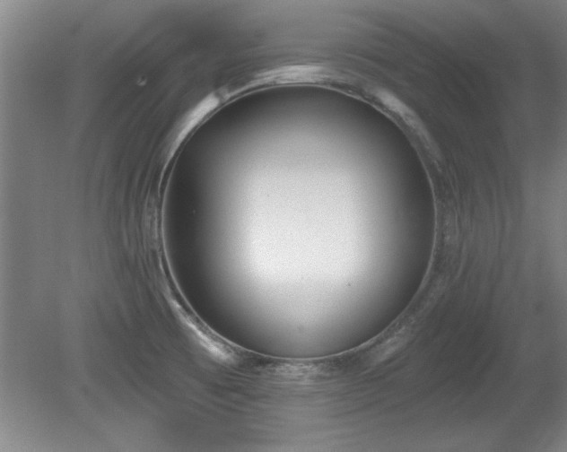 X0000078871473200611131204