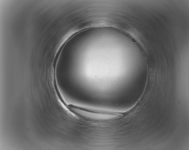 X0000078871476200611131204