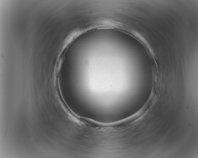X0000078871477200611131204