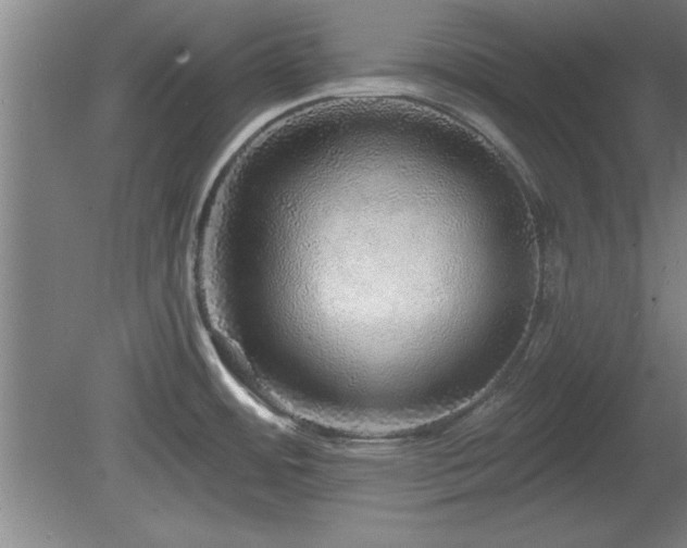 X0000078871484200611131204