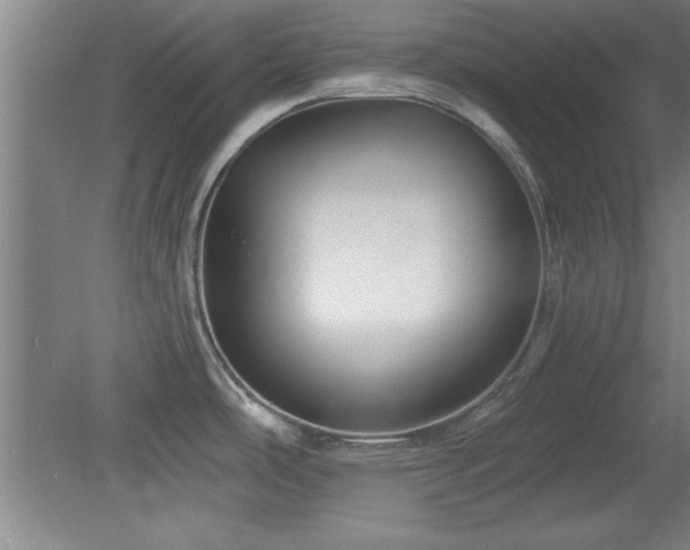 X0000078871486200611131204
