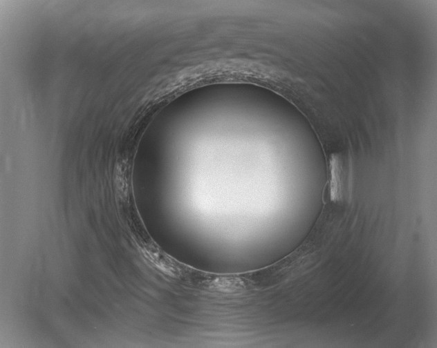 X0000078871491200611131203