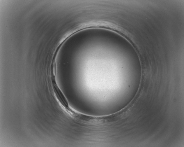 X0000078871521200611131204