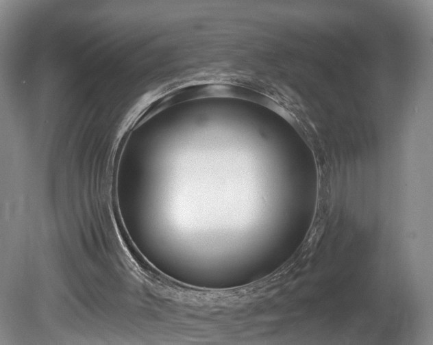 X0000078870003200611201352