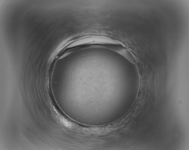 X0000078870005200611201352