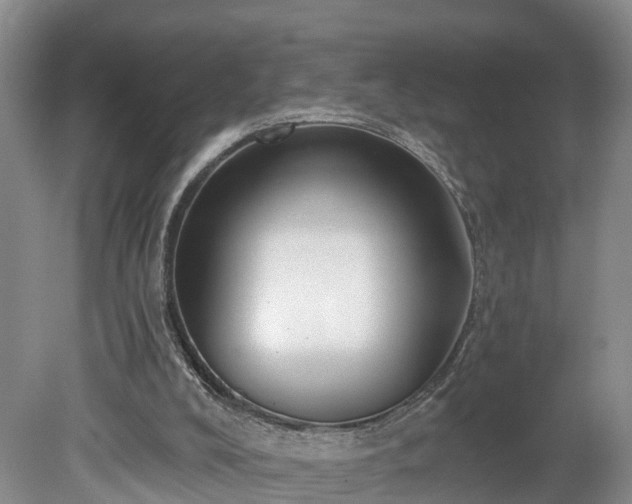 X0000078870008200611201351