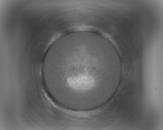 X0000078870010200611201351