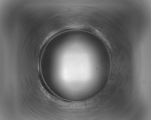 X0000078870011200611201351