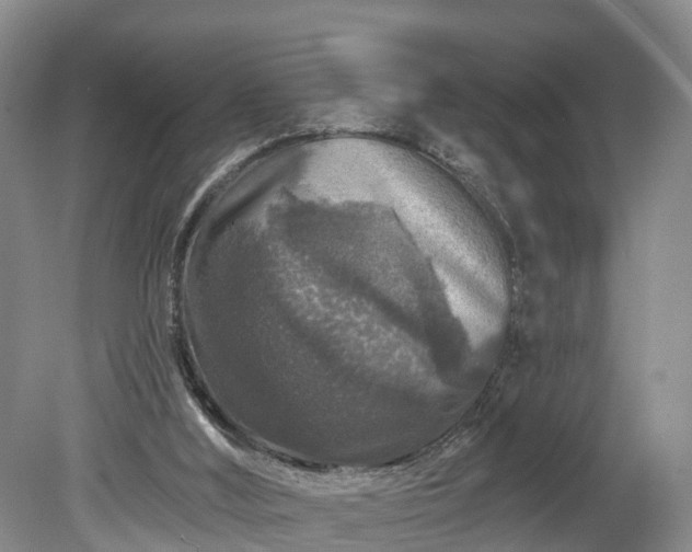 X0000078870012200611201351
