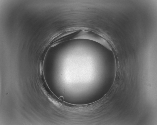 X0000078870013200611201351