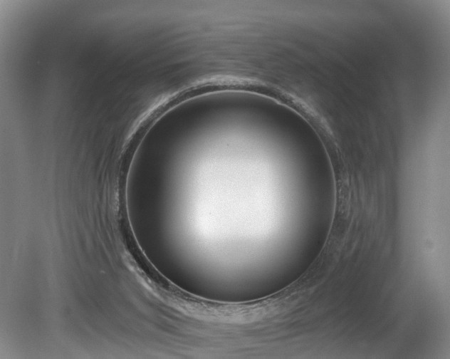 X0000078870015200611201351