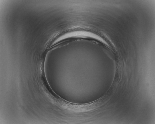 X0000078870023200611201351