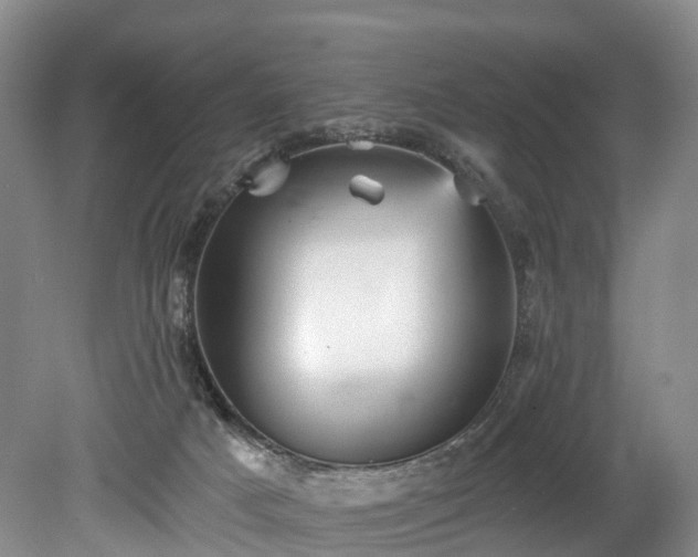 X0000078870025200611201351
